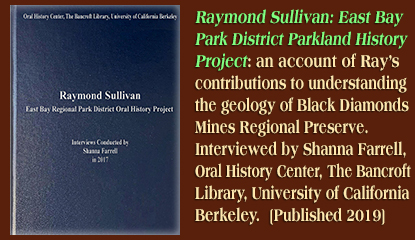 interview with Ray Sullivan